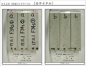 凍結融解試験体（試験前）