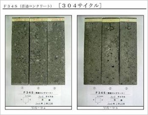 凍結融解試験体（試験後）